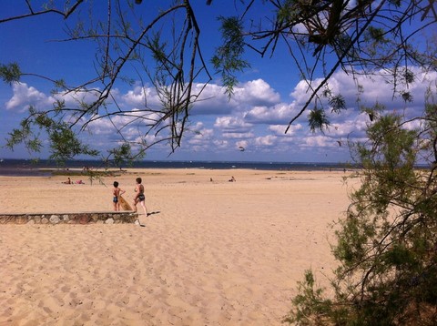 Plage de la Hume Gujan-Mestras 2